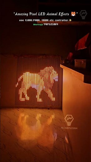 Amazing Pixel LED Animal Graphics | T1000 T8000 Controller | Whatsapp 7407121864 #pixelledprogram
