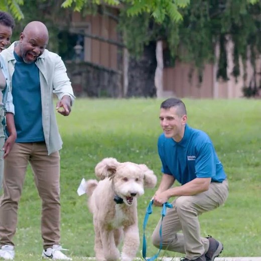 All the Reasons Why Dog Owners Need an Invisible Fence® Brand Fence