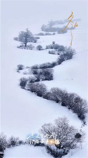 Snow falls on Narat, unfolding a long ink painting scroll between heaven and earth. The winding f...