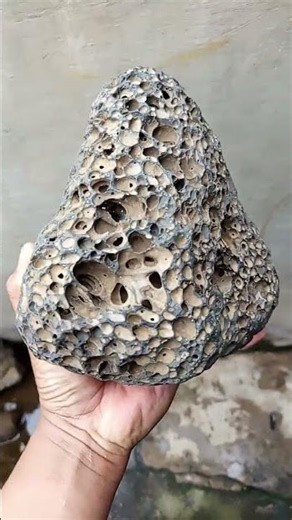 RS003 — Volcanic Honeycomb Stone # #semeru #crystals #akangabdoel #minerals #bbs