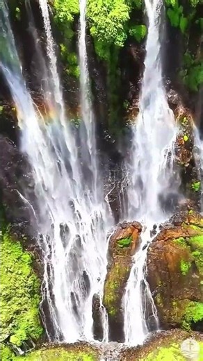 Massive Vertical Waterfall Short 2 – Powerful Vertical Waterfall in 4K • Thunderous Cascades