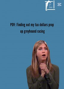 The WA Greyhound Racing Association tabled its annual report in Parliament today. $31million funded by the WA State Government. Bravo Roger Cook 👏🏼👏🏼👏🏼 #freethehounds #endgreyhoundracing #wearetheanimalpeople #petsnotbets | Free the Hounds