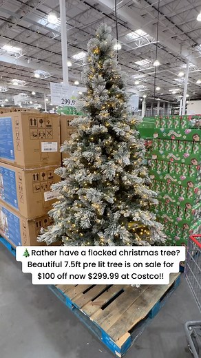 190K views · 36 reactions | Rather have a flocked christmas tree? Beautiful 7.5ft pre lit tree is on sale for $100 off now $299.99 at Costco!! #costcodeals #costco #christmastree | Costco Deals | Facebook