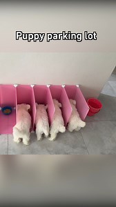 Or you could say it’s a barking lot~ | Barked