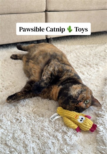 Catnip Toys Filled Only with Catnip — Why Cats Go Crazy