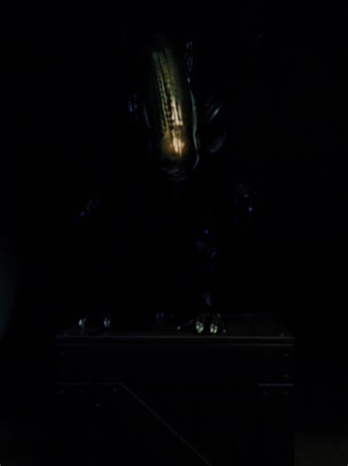 More poses with the xenomorph! | rushed vid srry . . . Filler post!#collecting #actionfigures #figtok #xenomorph #cinematic