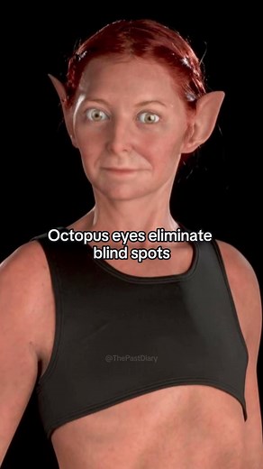 Alice Roberts Shows What Perfect Humans Could Look Like #humanevolution #humanbiology #scienceshorts
