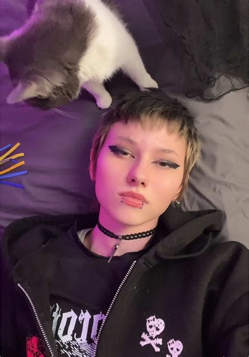 My Cat's Photobombing Antics