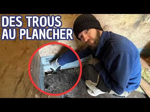 On arrache tout ➡️ MAUVAISES SURPRISES
