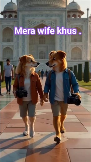 Taj Mahal aya mere wife ke sath....# short #dog #blogger