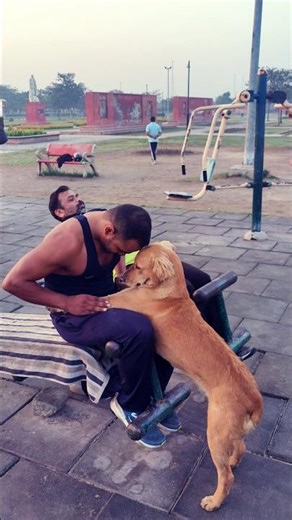 Explosive Long Jump on Ladder ⚡ Strong Legs & Core Workout
