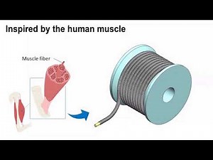 HFAM Soft Hydraulic Filament Artificial Muscles