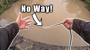 Illegal Dumping Uncovered