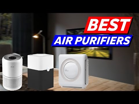 Top 3 Air Purifiers Picks in 2026