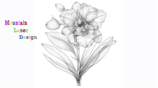 Orchid Bloom Line Art Monochrome Bundle 1 32 Digital Line Art AI Svg-png (digital Download) - Etsy