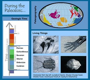Paleozoic Era