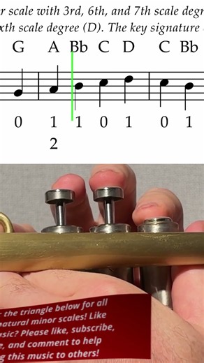 How to Play D Natural Minor Scale on Trumpet Flawlessly on Beginner Level! - Real piano trio & music