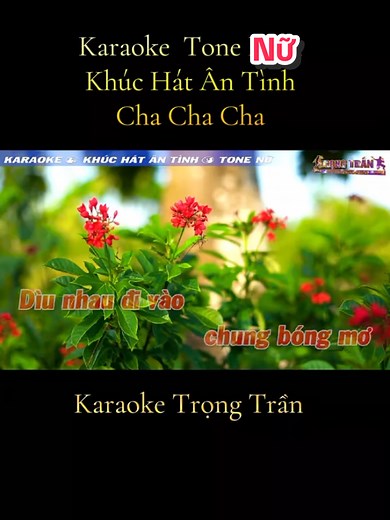Karaoke Tone Nam: Khúc Hát Ân Tình Cha Cha Cha