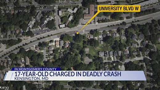 Teen charged as adult in deadly Silver Spring crash that killed 16-year-old