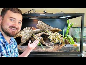 Setting Up a Dream Home for my Leopard Gecko