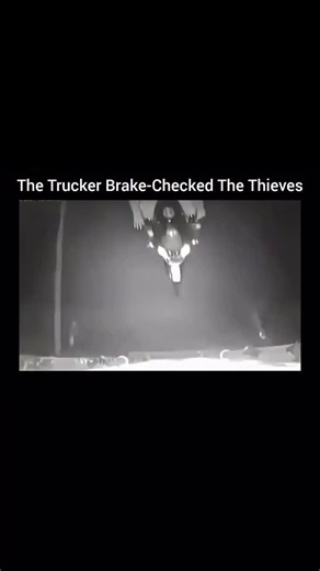 Reel Daily on Instagram: "That trucker really turned this into an action movie. It feels like a scene straight out of Fast and Furious but with a tight budget. You can almost hear the dramatic music playing in the background. The biker on the trailer looks completely lost. It’s like he didn’t expect to end up there and now he’s just trying to figure out what’s next. You can see the confusion in every move he makes. Everyone involved must have had their hearts racing. One wrong move and things co