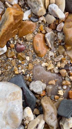 Here is a tiny piece of crinoid that looks like a star! I found this along the Jurassic Coast, Dorset 😀🌊⭐️💫 #fossils #fossil #crinoid #star #stars #ammonite #ammonites #pyrite #ancient #curiosity #nature #photography #natural #history #jurassic #coast #jurassiccoast #beach #stones #rocks #maryanning #dinosaur #palaeontology #geology #dorset #charmouth #charmouthbeach #lymeregis #fascinatingfossils | Fascinating Fossils