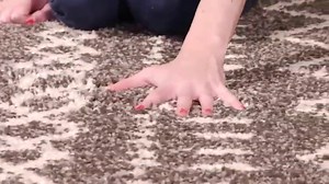 Watch Safavieh Arizona Shag Collection Southwestern Area Rug, 9' x 12', Brown/Ivory on Amazon Live