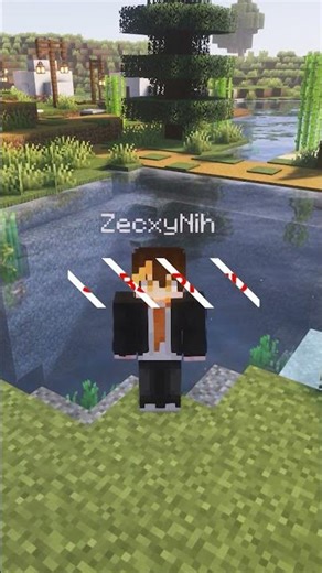 The Mystery of the Wondering Trader in Minecraft #horror