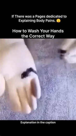 Explaining Biology on Instagram: "Proper hand washing is one of the simplest yet most powerful ways to protect your health 🧼. Our hands come into contact with countless surfaces every day, carrying germs that can easily enter the body through the eyes, nose, or mouth. Washing your hands the correct way—with soap, clean water, and proper technique—helps remove harmful bacteria and viruses effectively. Make sure to clean between fingers, under nails, the back of your hands, and thumbs for at leas