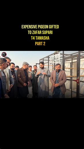 part 2 #pigeons #podcast #interview #zafarsupari #t4tamasha