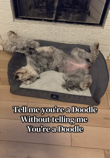 Doodle Life: Expressing Your Doodle Spirit