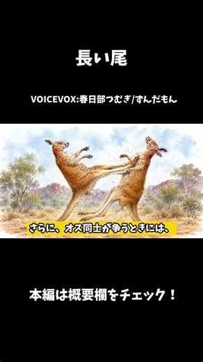 最強キックボクサーの意外な日常？アカカンガルーの生態まとめ