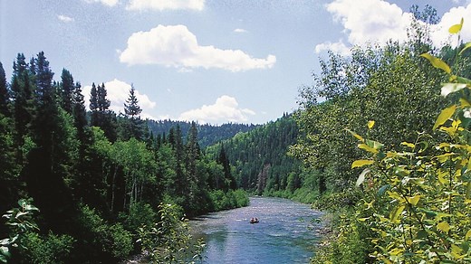 Un portrait des rives pour protéger la rivière Bonaventure