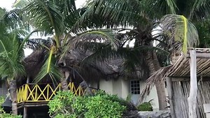 Are you coming? :) | Nueva Vida de Ramiro Tulum