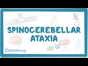 Spinocerebellar Ataxia (NORD)