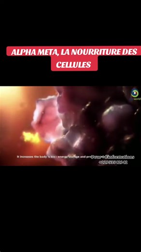 votre bien-être avec ALPHA META, la nourriture des cellules...fini avec le diabète, l'hypertension artérielle, l'arthrose... #sucre #diabete #hypoglycemia #maladie #foie #endocrinologie #usa #france #tiktokacademie #fly #pourtoi #sante #sensibilisation #prevention