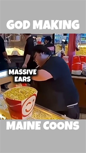 Did we miss anything? 🤔 #cat #mainecoon #godofwar