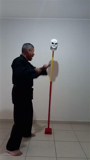 punzaduras y técnicas circulares con bastón para defensa personal