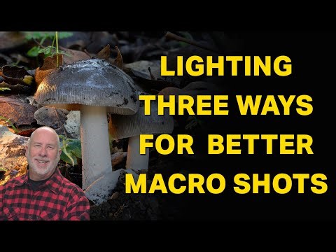 Improve Your Macro Photography with 3 Simple Lighting Techniques!