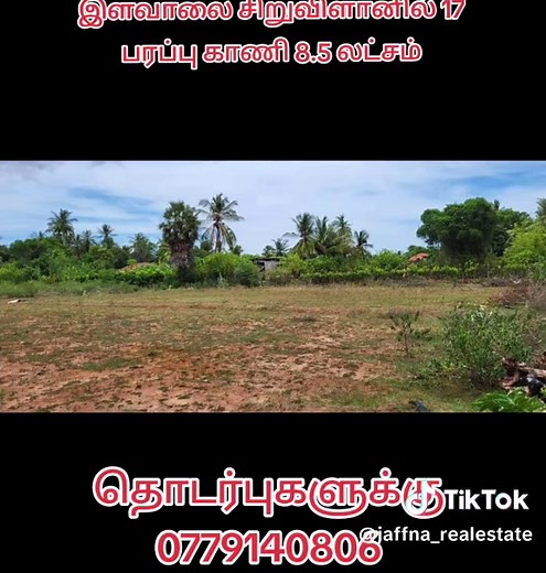 #jaffna_realesate #thellipalai #யாழ்ப்பாணம் #jaffna #nallur #100kviews #tamilbro #showmetheview #Home #buynow #investment #houseforsale #landforsale