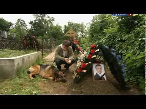 Лорд. Пёс-полицейский: сезон 1, серия 1