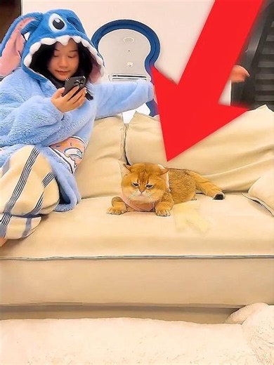 Cat Saw A Ghost 👻🐱