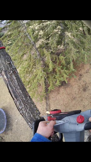 #usareels #viralreels #treeclimbing #treeworker #satisfying #treeworks #reels #arborist | The Tree Guys