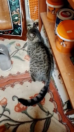 14 Μαρτίου 2026