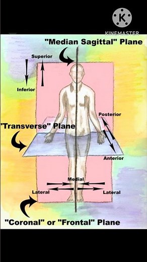 planes and axes.Types of human body motion