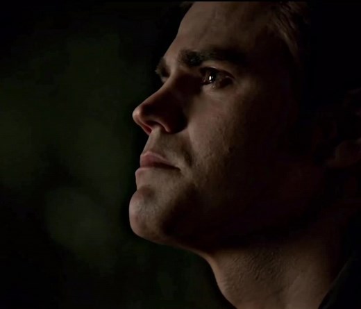 Stefan and Damon Salvatore Reunite in Emotional Vampire Diaries Scene
