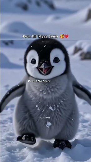 Happy Dancing Penguin 🐧💃 | Cutest Penguin Dance Ever! ✨ #shorts