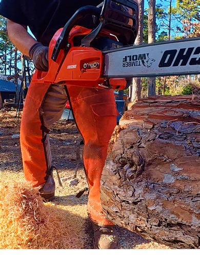 Just Trust Me! #echo #chainsaw #chainsawman #diy #kindling #trusttheprocess💯