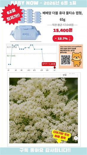 [광고] [2026-06-01] 우리집 육아템 베베앙 더블 휴대 물티슈 캡형, 65g, 25매, 20개 반짝 특가