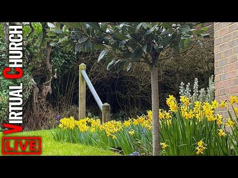 🔴 Our Daffodils Are Out | POPULAR HYMNS FOR SPRING!!